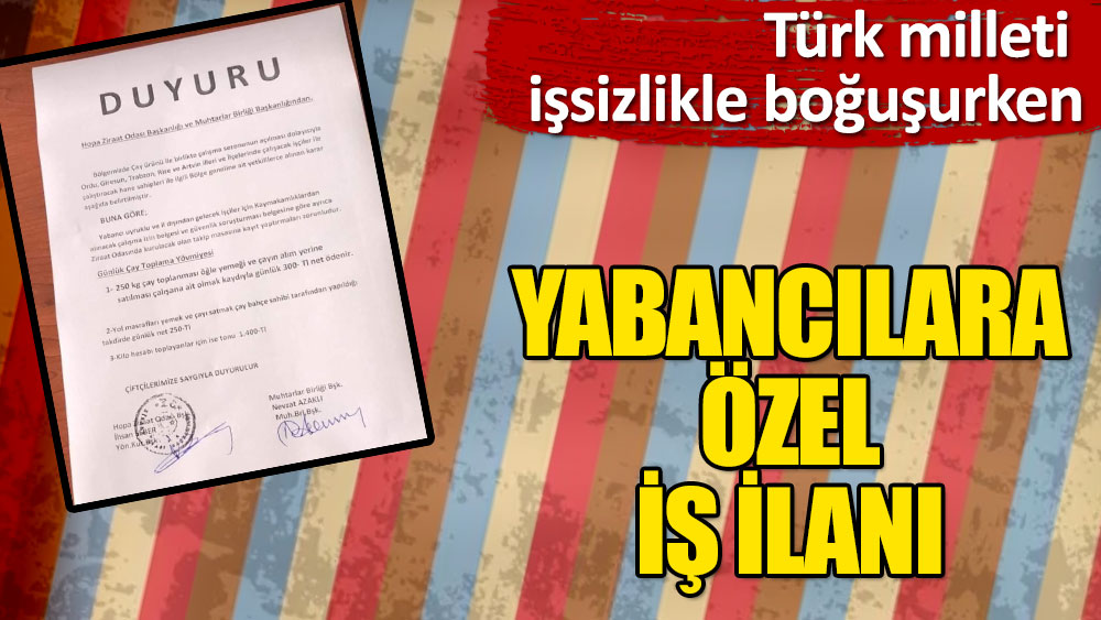 Türk milleti işsizlikle boğuşurken, yabancılara özel iş ilanı