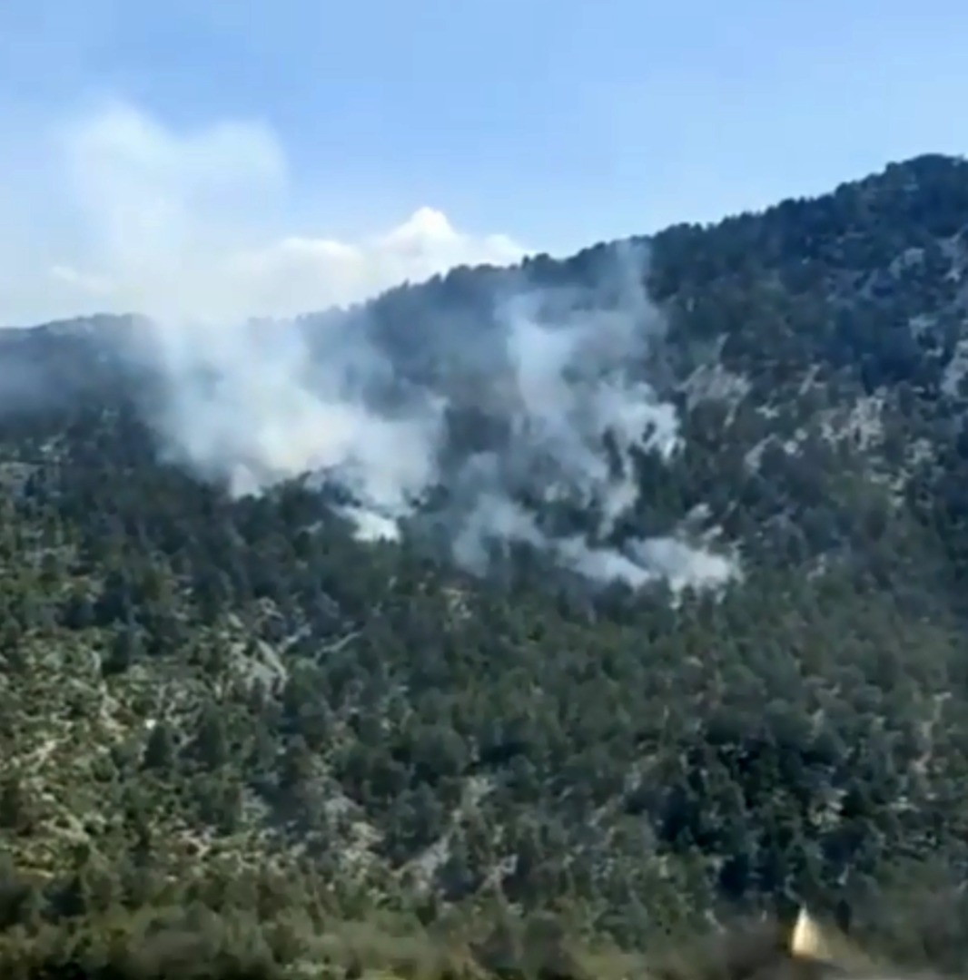 Antalya'da iki noktada orman yangını