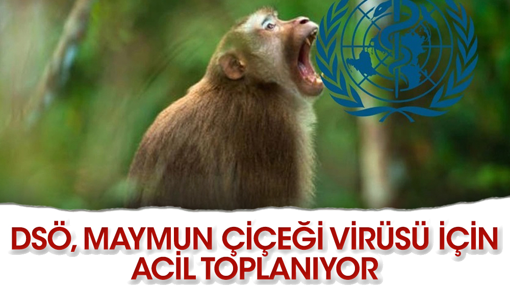 Dünya Sağlık Örgütü, maymun çiçeği virüsü için acil toplanıyor