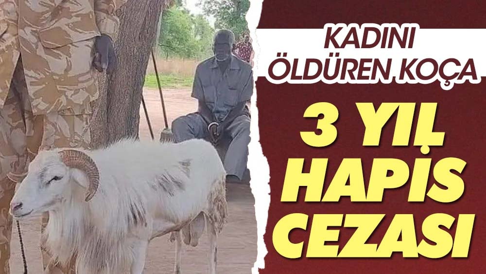 Kadını öldüren koça 3 yıl hapis cezası