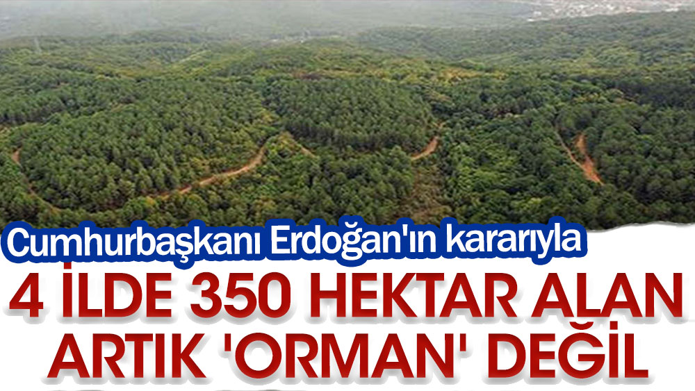 Cumhurbaşkanı Erdoğan'ın kararıyla. 4 ilde 350 hektar alan artık 'orman' değil