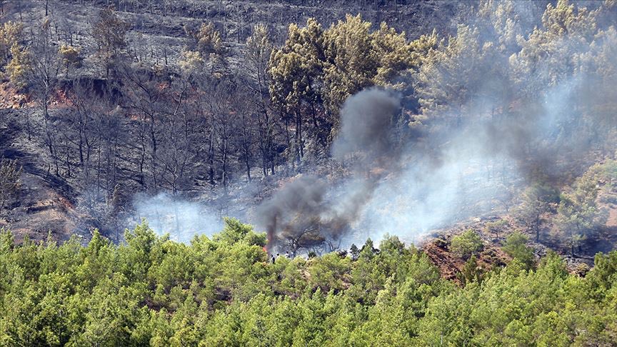 Fethiye'de yıldırım düştü! Orman yangını çıktı