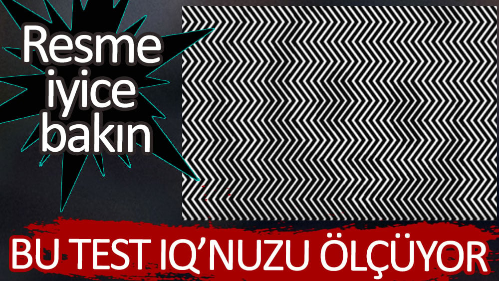 Bu test IQ’nuzu ölçüyor! Resme iyice bakın... Görüyor musunu?