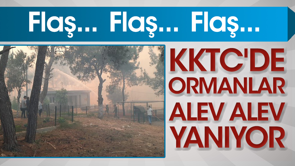 KKTC'de ormanlar alev alev yanıyor!