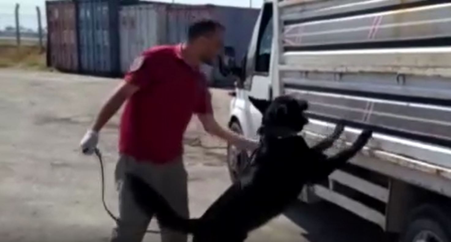 Polis atık kağıt yüklü kamyoneti durdurdu. Polis köpeği harekete geçti