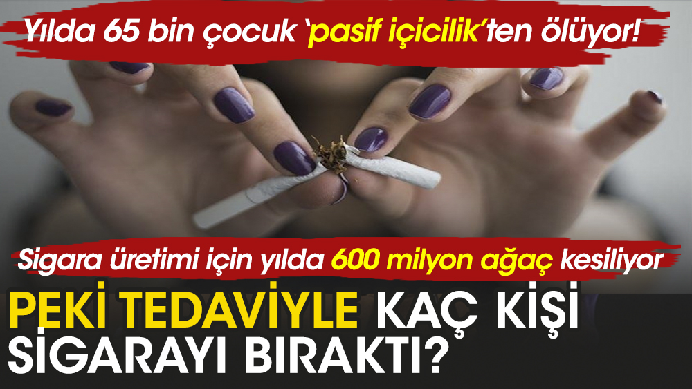Türkiye'de kaç kişi tedaviyle sigara bıraktı?