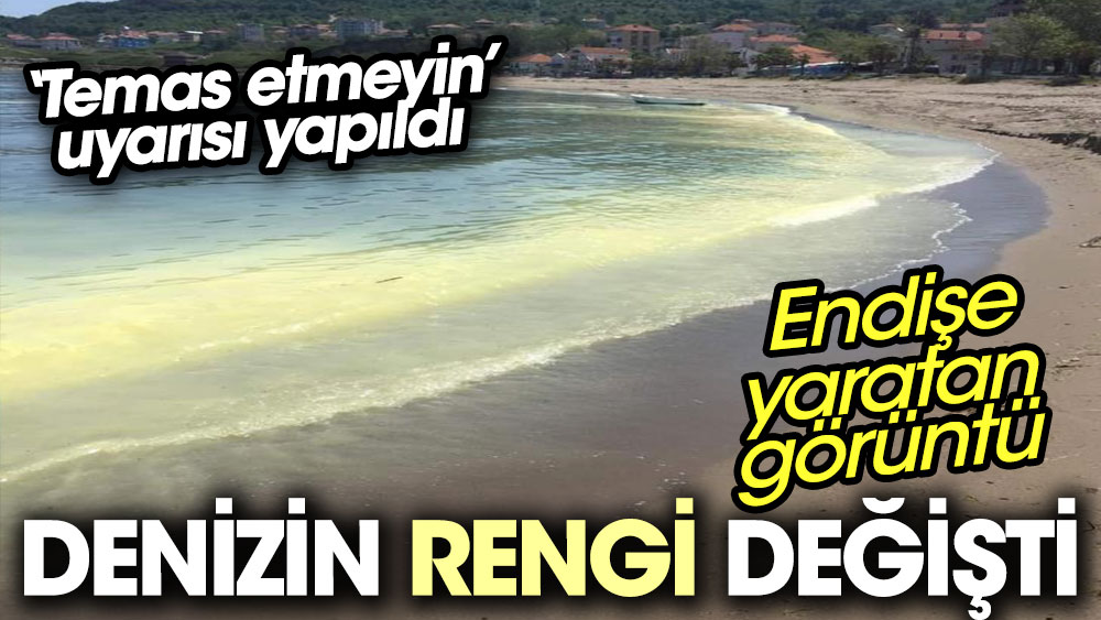 Sinop'ta denizin rengi değişti. Temas etmeyin uyarısı yapıldı