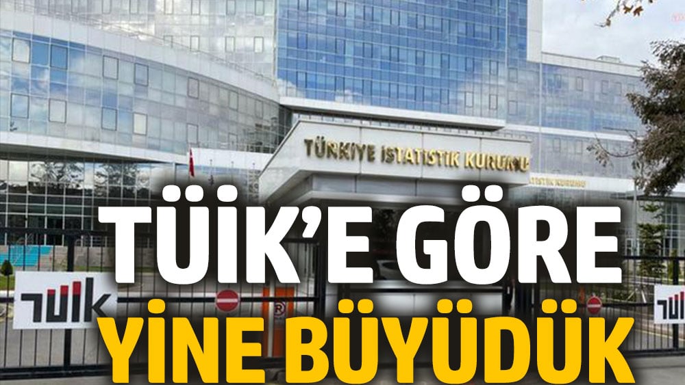 TÜİK'e göre yine büyüdük