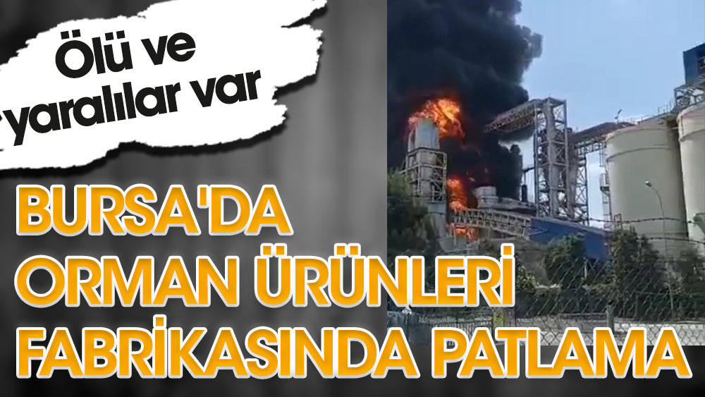 Bursa'da orman ürünleri fabrikasında patlama. Ölü ve yaralılar var