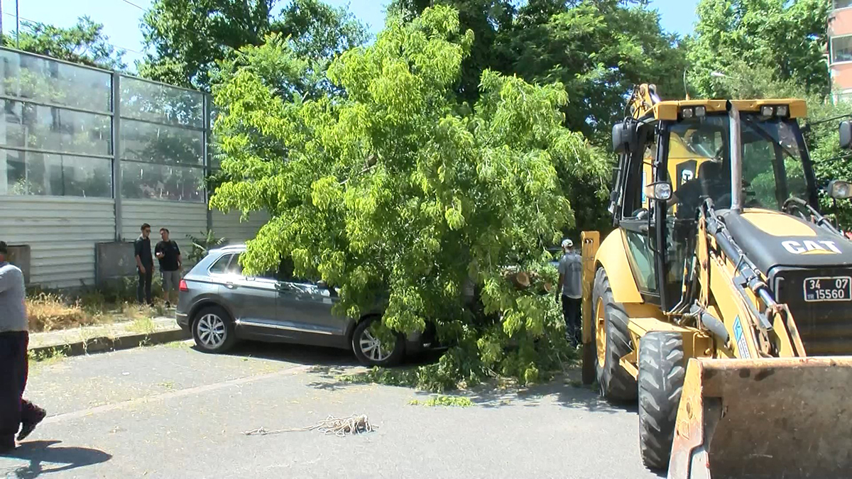 Kadıköy'de ağaç 2 otomobilin üzerine devrildi