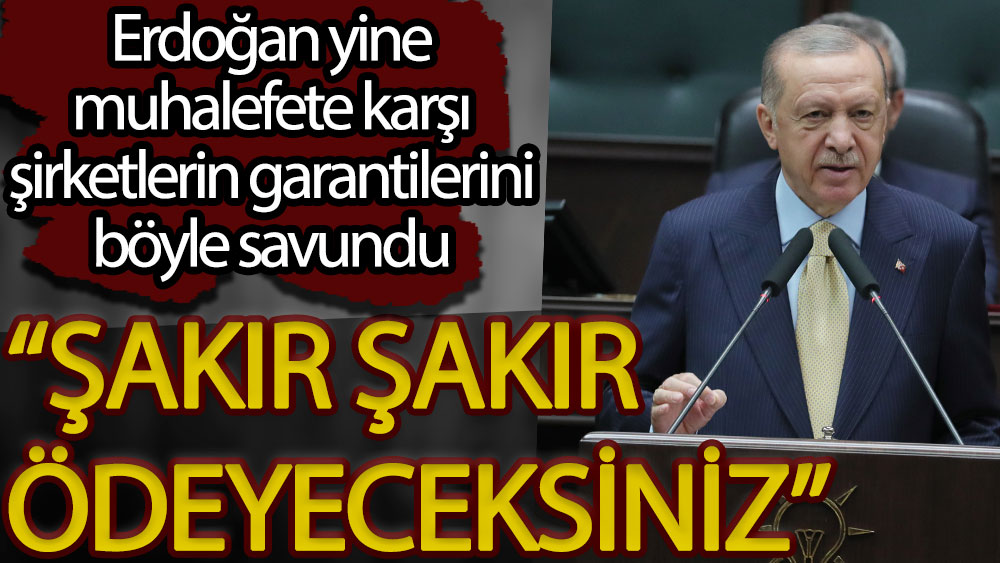 Erdoğan yine muhalefete karşı şirketlerin garantilerini savundu: Şakır şakır ödeyeceksiniz