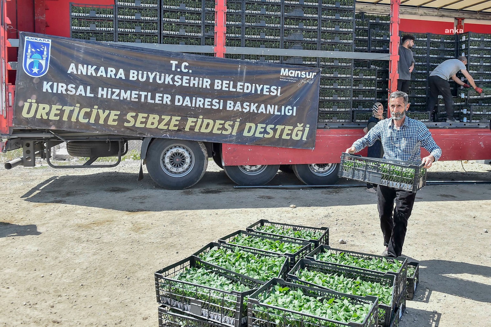Ankara Büyükşehir Belediyesi’nden çiftçiye büyük destek 9,5 milyon fide dağıtıldı
