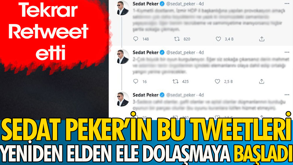 Sedat Peker'in bu tweetleri yeniden elden ele dolaşmaya başladı | Tekrar retweet etti