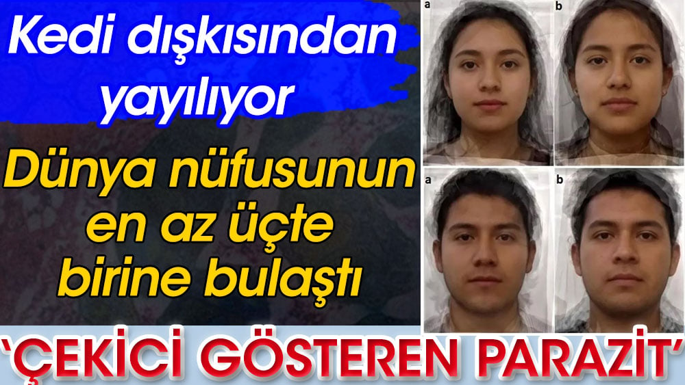 Dünya nüfusunun en az üçte birine bulaştı | Çekici gösteren parazit kedi dışkısından yayılıyor