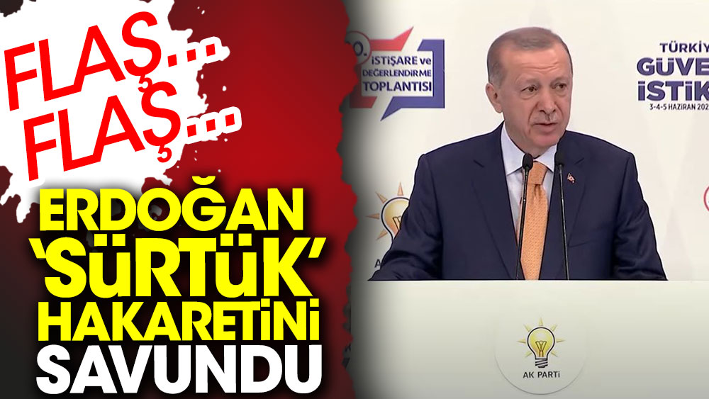 Erdoğan 'sürtük' hakaretini savundu