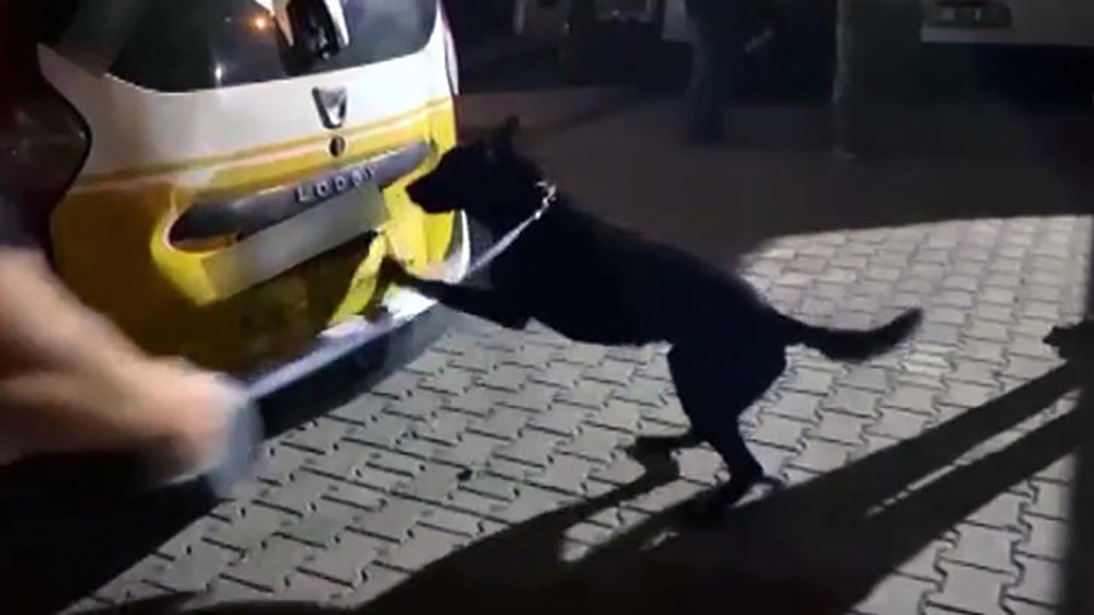 Taksideki uyuşturucuyu narkotik köpeği ‘Aşil’ buldu