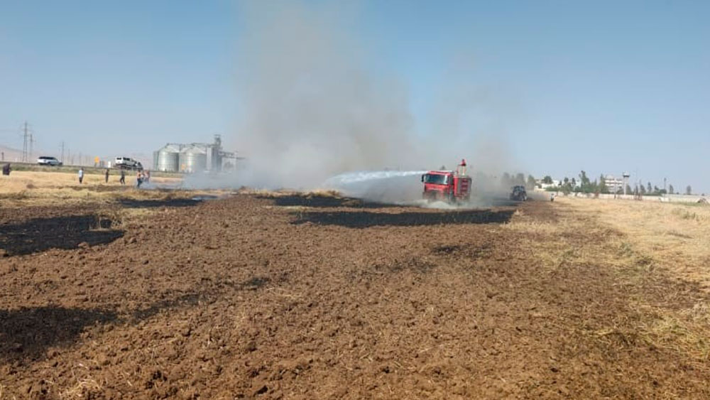 Buğday ekili arazide yangın çıktı. 55 dönüm kül oldu