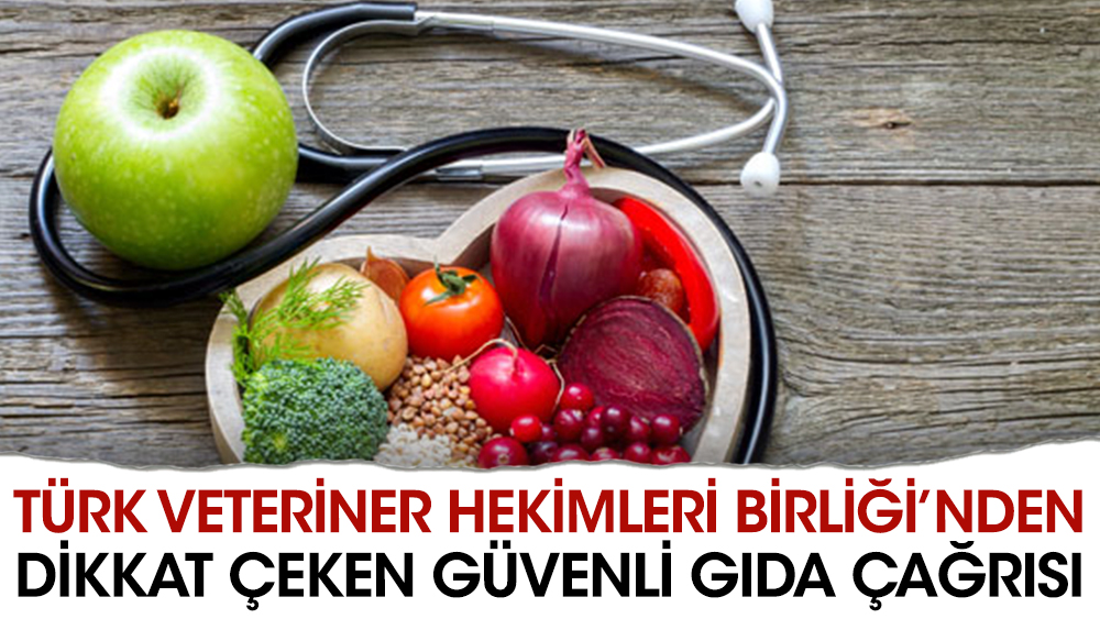 Türk Veteriner Hekimleri Birliği’nden dikkat çeken güvenli gıda çağrısı