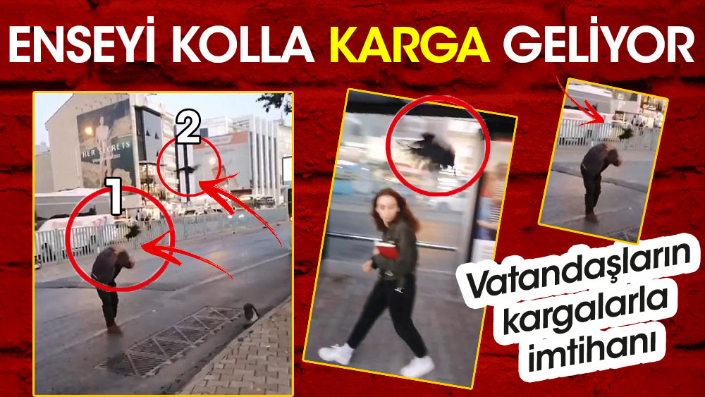 Kadıköy'de kargalar kaldırımdakilere zor anlar yaşattı. Karga saldırısında kaçarak kurtuldular