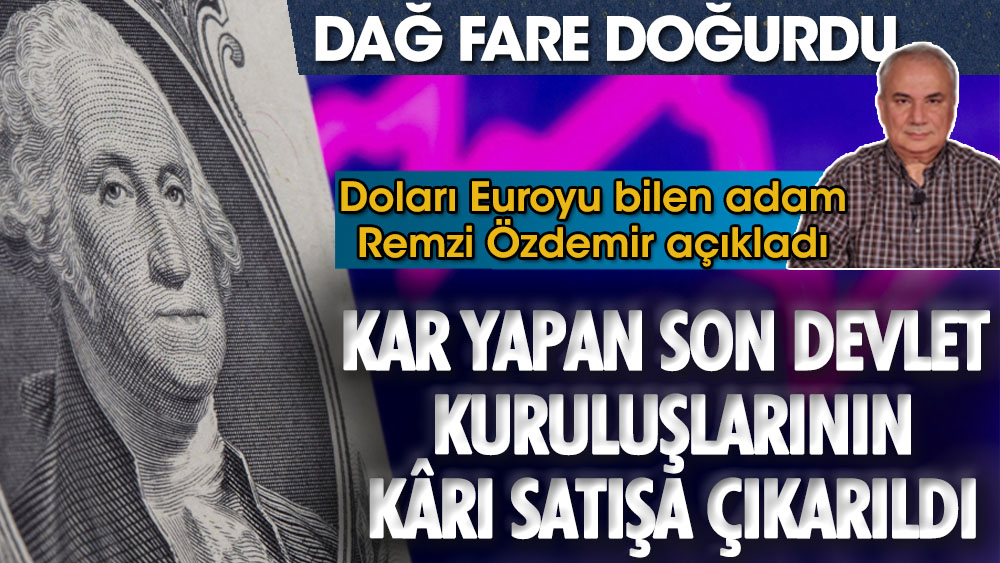 Dağ fare doğurdu. Doları Euroyu bilen adam Remzi Özdemir açıkladı. Kar yapan son devlet kuruluşlarının karı satıldı