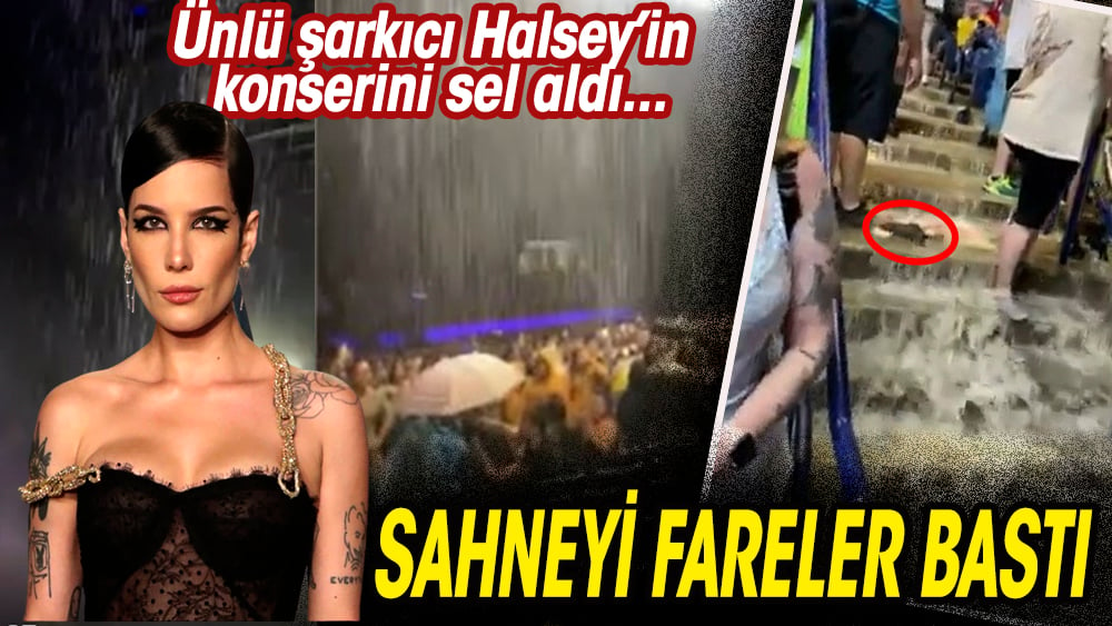 Ünlü şarkıcı Halsey'in konserini sel aldı, sahneyi kemirgenler bastı