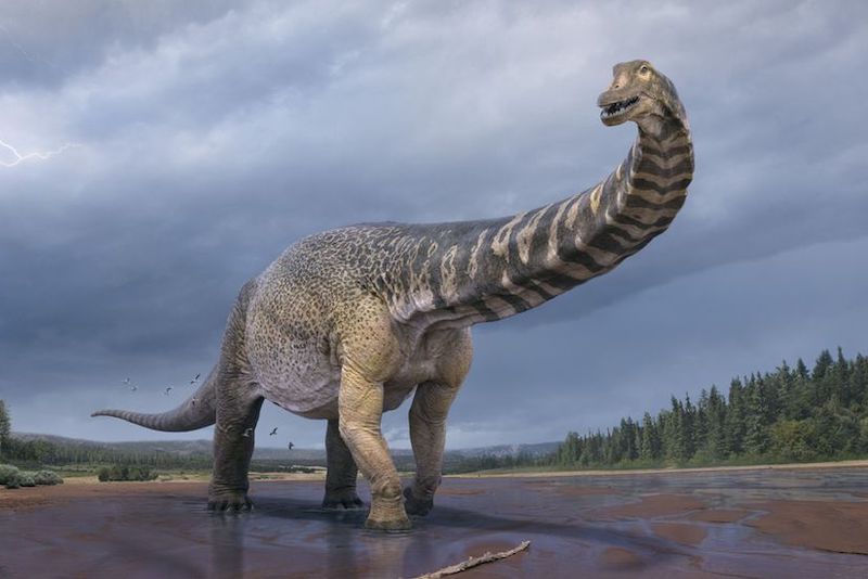 Avrupa'nın en büyük dinozor fosili bulundu