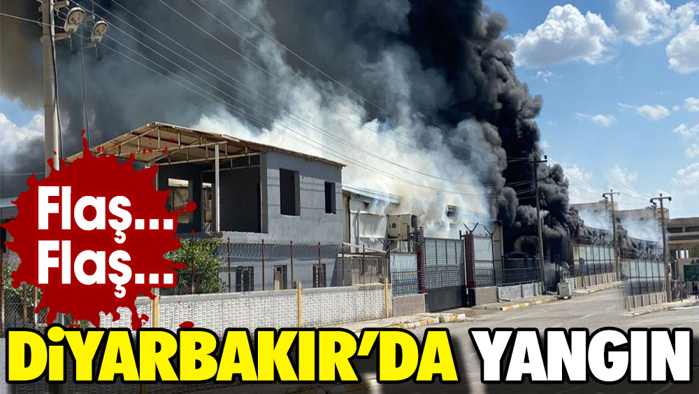 Flaş... Flaş... Diyarbakır'da yangın