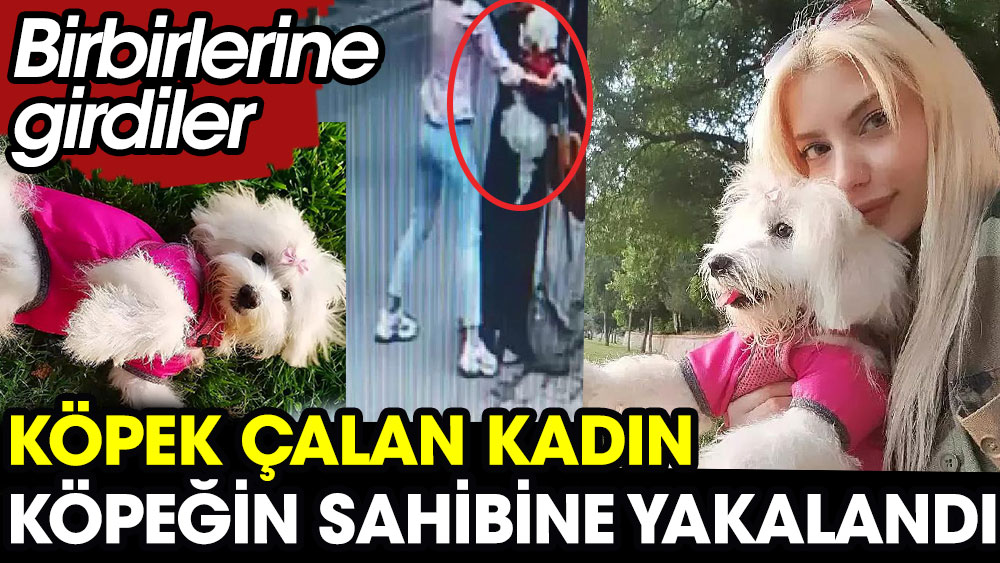 Üsküdar'da köpek çalan kadın köpeğin sahibine yakalandı