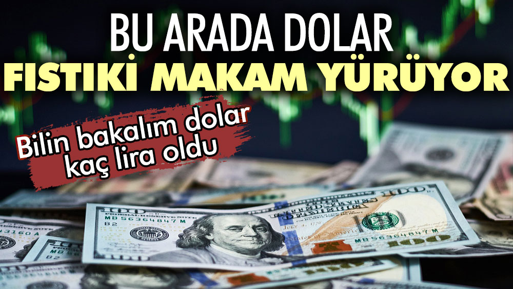Bu arada dolar fıstıki makam yürüyor: Bilin bakalım dolar kaç lira oldu