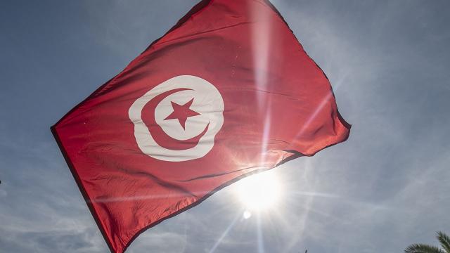 Tunus'ta yeni anayasa taslağı Cumhurbaşkanına sunulacak