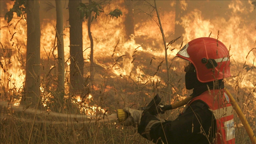Aşırı sıcaklar nedeniyle 30'dan farklı yerde orman yangını çıktı