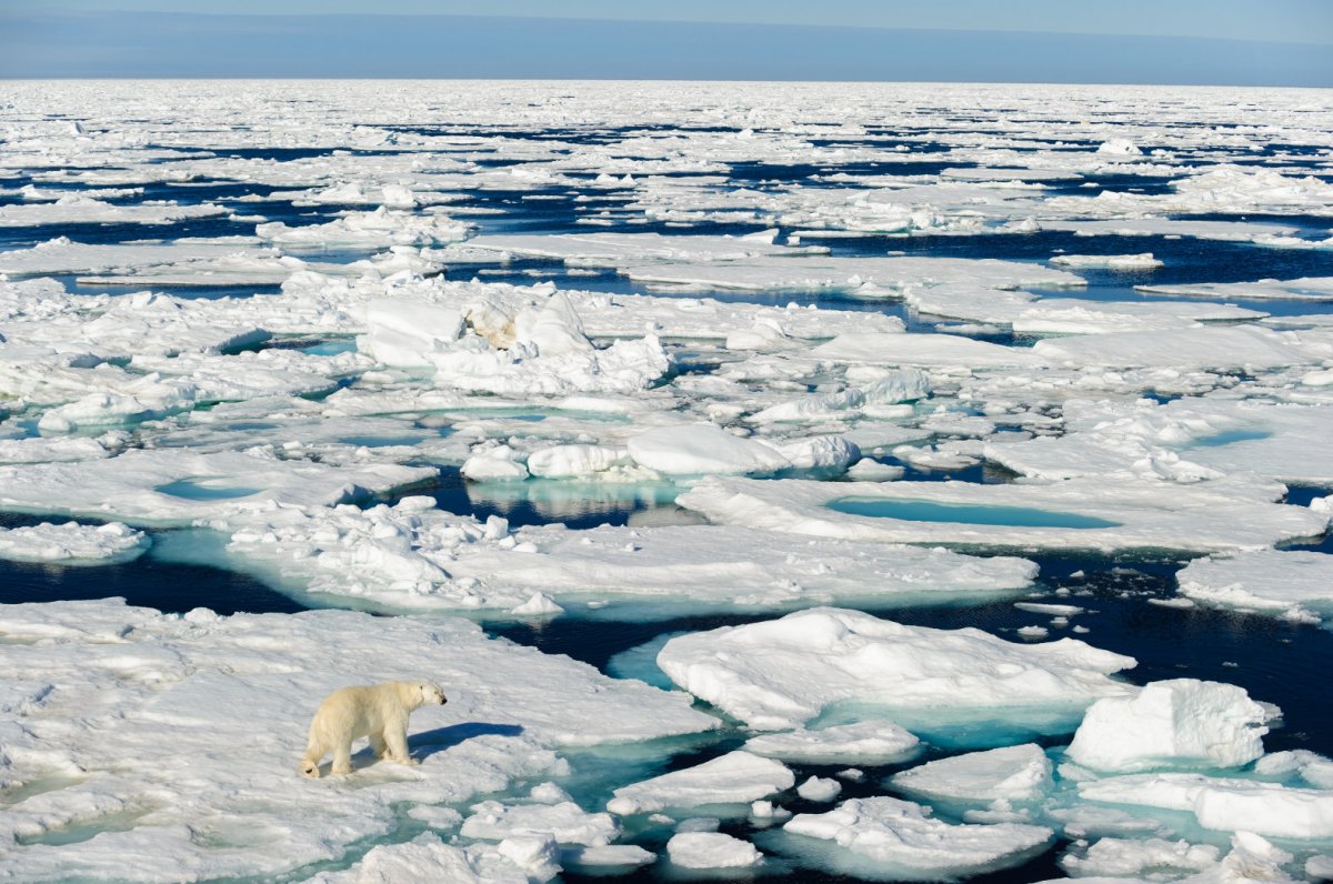Kuzey Kutbu'nun ortalamadan yedi kat fazla ısındığı ortaya çıktı