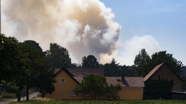 Almanya’da orman yangını. 3 mahalle tahliye edilecek