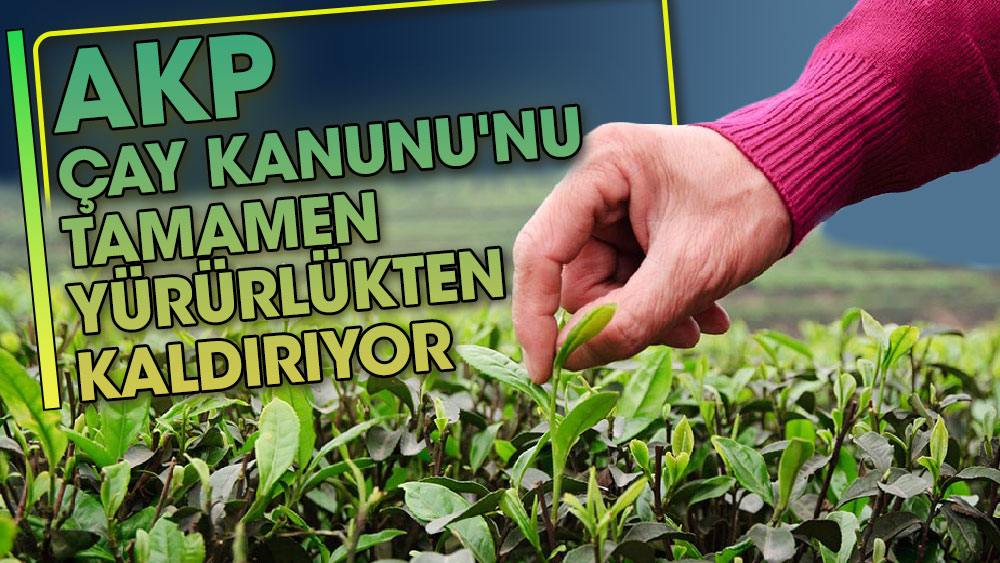 AKP mevcut Çay Kanunu'nu tamamen yürürlükten kaldırıyor