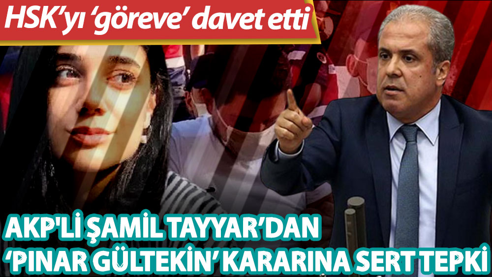 AKP'li Şamil Tayyar’dan 'Pınar Gültekin' kararına tepki: Hukuk cinayeti