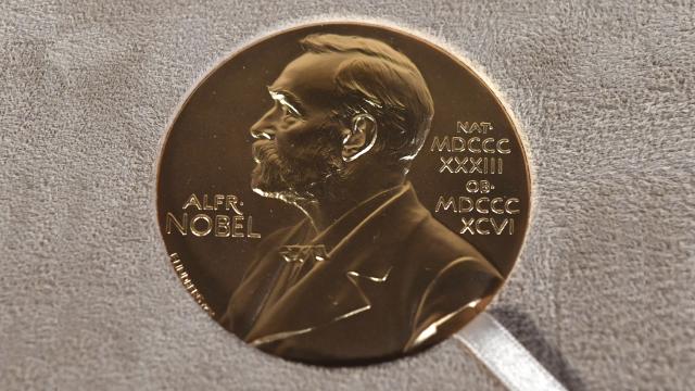 Rus gazeteci, Nobel madalyasını açık artırmaya çıkardı