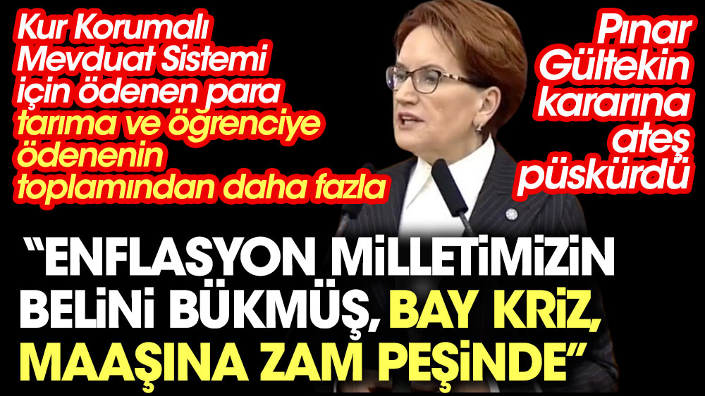 İYİ Parti lideri Meral Akşener : Enflasyon milletimizin belini bükmüş Bay Kriz, maaşına zam peşinde dedi. Pınar Gültekin kararına ateş püskürdü