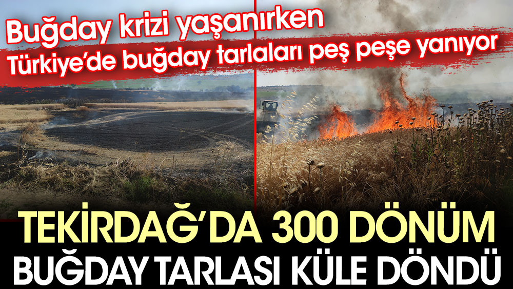 Tekirdağ’da 300 dönüm buğday tarlası küle döndü. Buğday krizi yaşanırken Türkiye'de buğday tarlaları peş peşe yanıyor