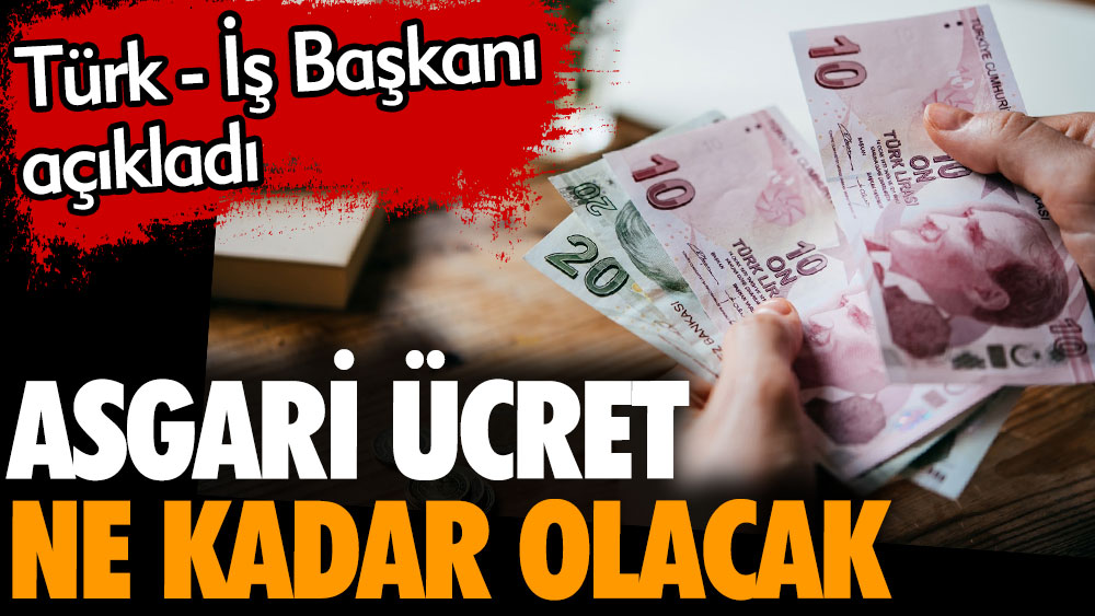 Asgari ücret ne kadar olacak? Türk - İş Başkanı açıkladı