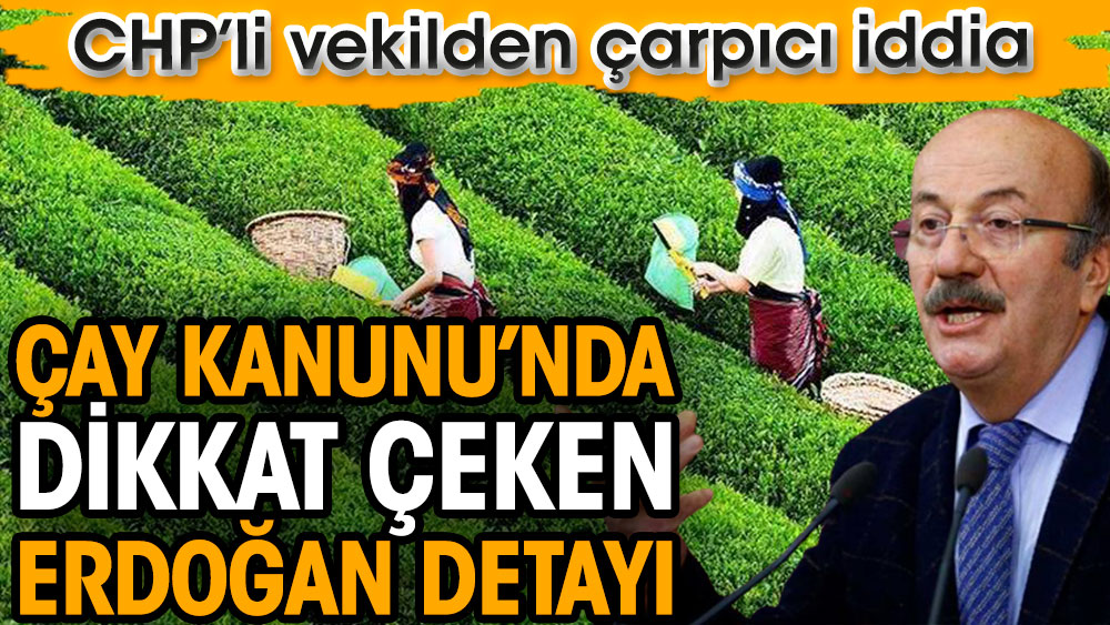 Çay Kanunu’nda dikkat çeken Erdoğan detayı. CHP İstanbul Milletvekili Mehmet Bekaroğlu iddia etti