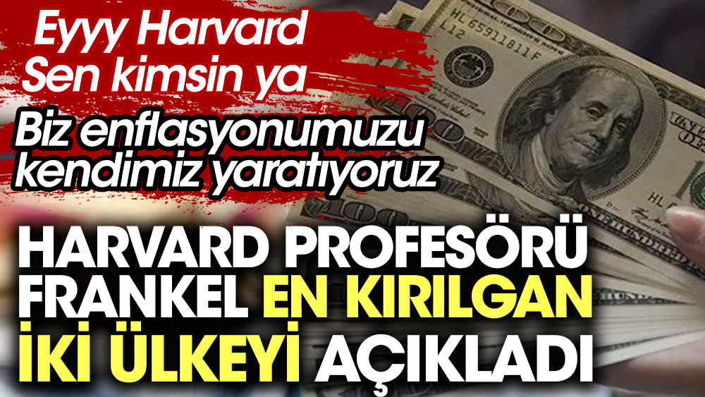 Harvard Profesörü Frankel en kırılgan iki ülkeyi açıkladı. Eyyy Harvard Sen kimsin ya Biz enflasyonumuzu kendimiz yaratıyoruz