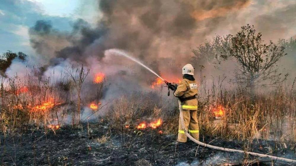 Rusya'nın başı orman yangınlarıyla belada 78 ayrı noktada yangın çıktı