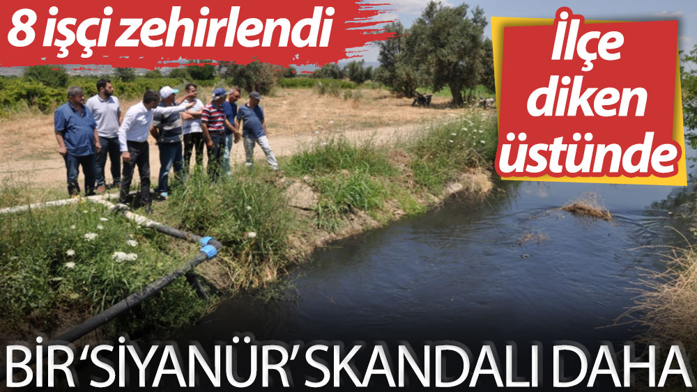 Manisa’da tarımsal sulama kanalına siyanür karıştı: 8 işçi zehirlendi