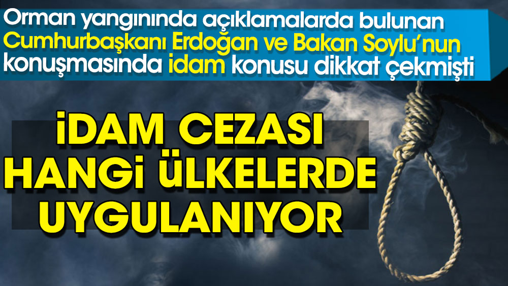 Orman yangınında açıklamalarda bulunan  Cumhurbaşkanı Erdoğan ve Bakan Soylu’nun  konuşmasında idam konusu dikkat çekmişti: İdam cezası hangi ülkelerde uygulanıyor