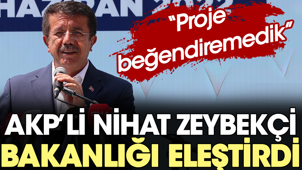 AKP'li Nihat Zeybekçi bakanlığı eleştirdi: Proje beğendiremedik