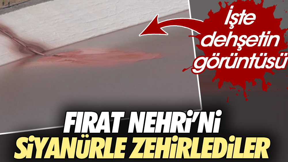 Fırat Nehri'ni zehirlediler. İşte dehşetin fotoğrafı