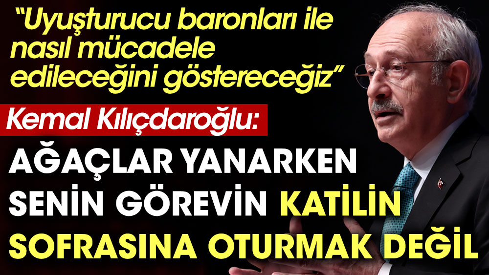 Kemal Kılıçdaroğlu Ağaçlar yanarken senin görevin katilin sofrasına oturmak değil