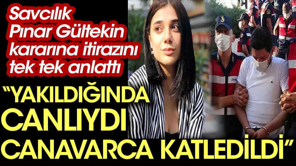 Savcılık Pınar Gültekin kararına itirazını tek tek anlattı. Yakıldığında canlıydı canavarca katledildi
