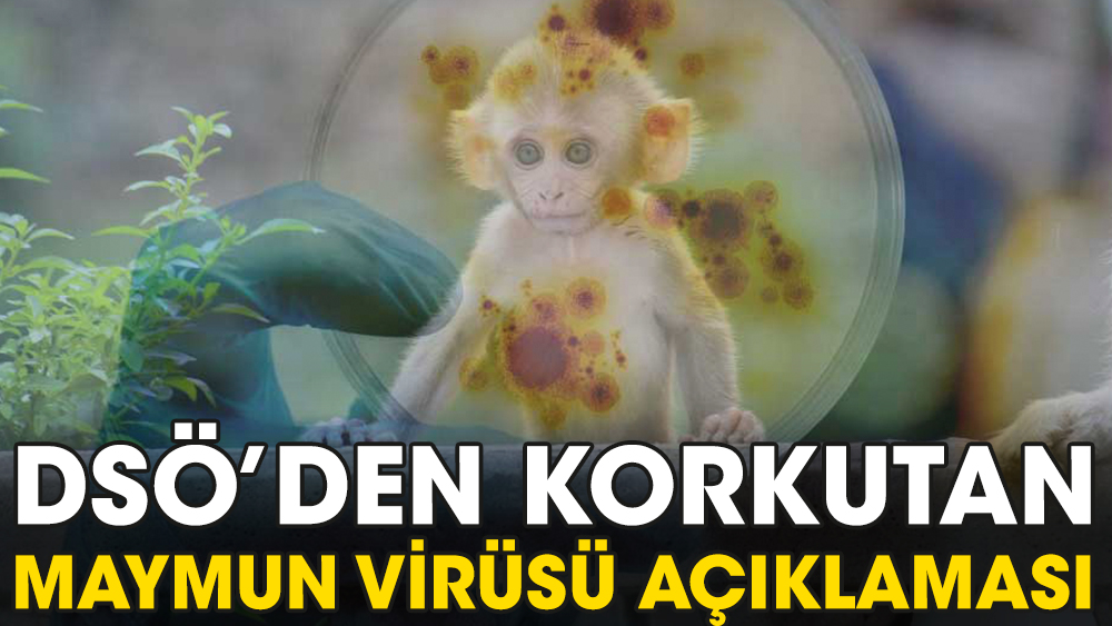 Dünya Sağlık Örgütü'nden (DSÖ) korkutan maymun virüsü açıklaması