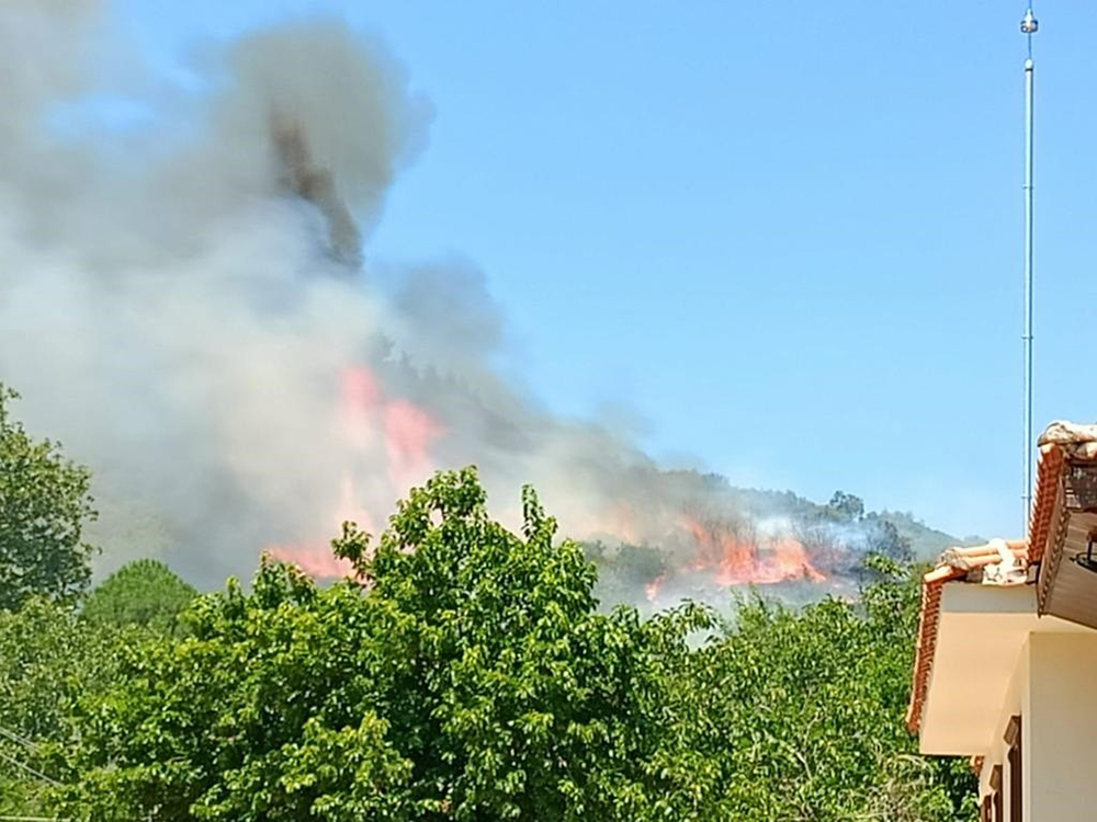 İzmir’de iki ayrı bölgede orman yangını